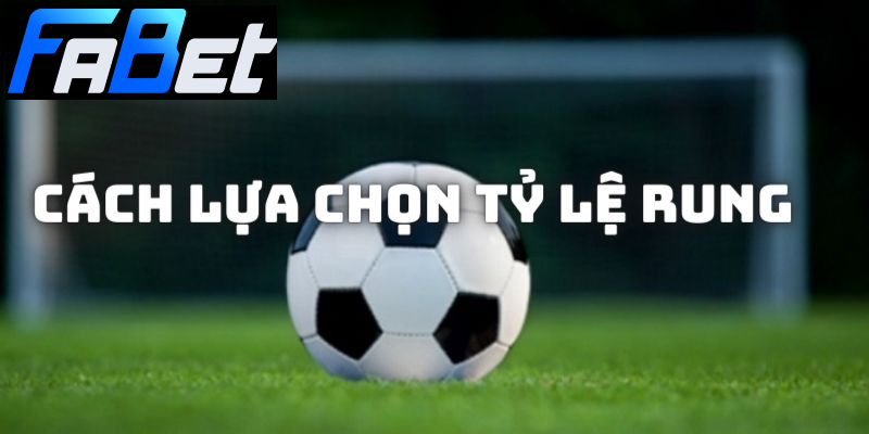 Chia sẻ đôi nét về cách đặt kèo rung đối với từng tỷ lệ Chia sẻ đôi nét về cách đặt kèo rung đối với từng tỷ lệ
